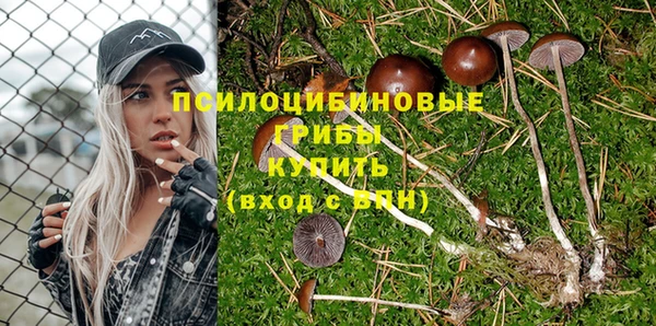 мдпв Балабаново