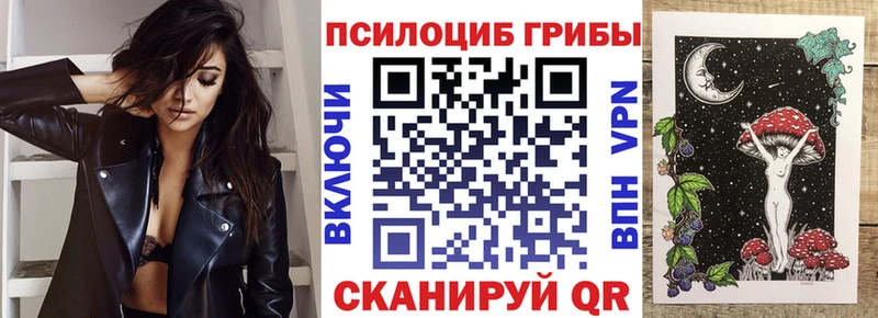 Псилоцибиновые грибы мухоморы  KRAKEN зеркало  Будённовск 