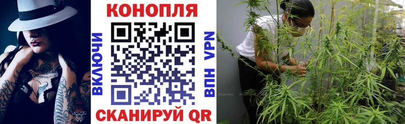 Шишки марихуана Amnesia  Будённовск 